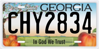 GA license plate CHY2834