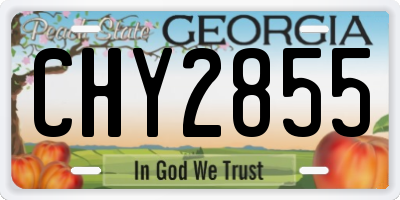 GA license plate CHY2855