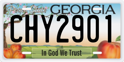 GA license plate CHY2901