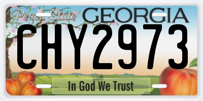 GA license plate CHY2973