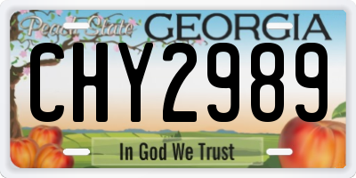 GA license plate CHY2989