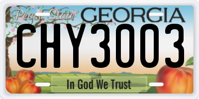GA license plate CHY3003