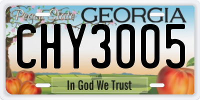 GA license plate CHY3005