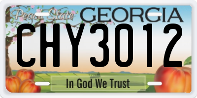 GA license plate CHY3012