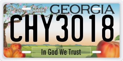 GA license plate CHY3018