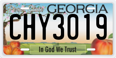 GA license plate CHY3019