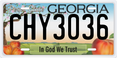 GA license plate CHY3036