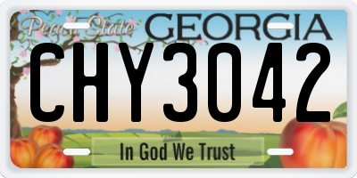GA license plate CHY3042
