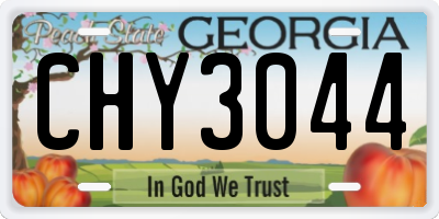 GA license plate CHY3044