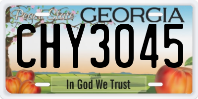 GA license plate CHY3045