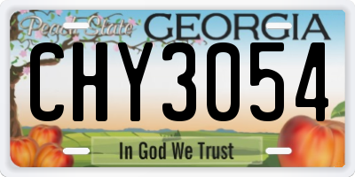 GA license plate CHY3054