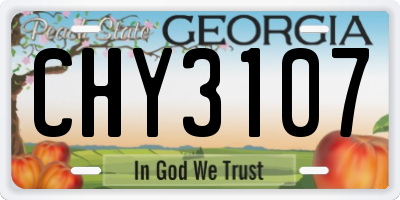 GA license plate CHY3107