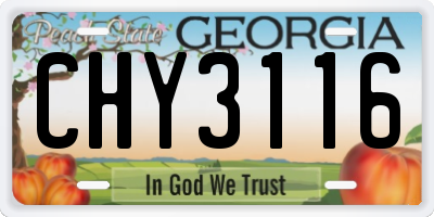 GA license plate CHY3116
