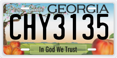 GA license plate CHY3135