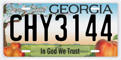 GA license plate CHY3144