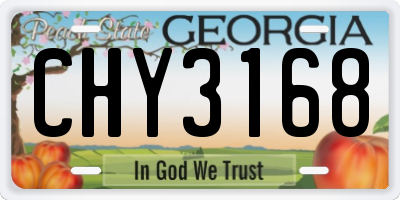 GA license plate CHY3168