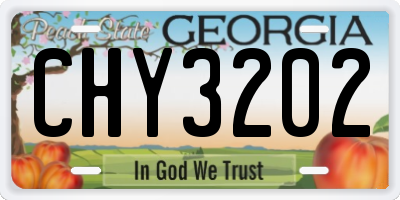 GA license plate CHY3202