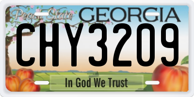 GA license plate CHY3209