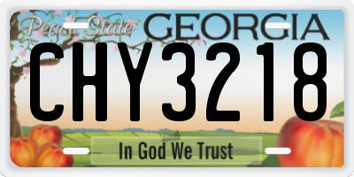 GA license plate CHY3218