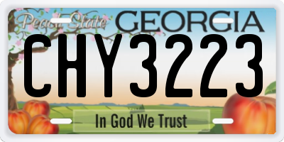 GA license plate CHY3223