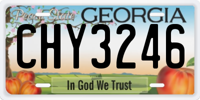 GA license plate CHY3246