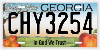 GA license plate CHY3254