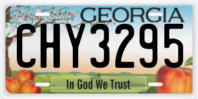 GA license plate CHY3295