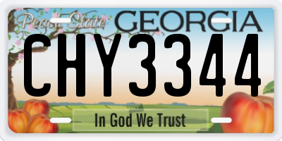 GA license plate CHY3344