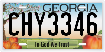 GA license plate CHY3346