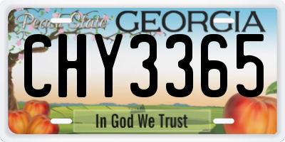 GA license plate CHY3365