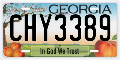 GA license plate CHY3389