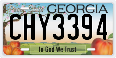 GA license plate CHY3394