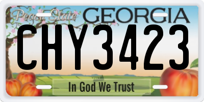 GA license plate CHY3423