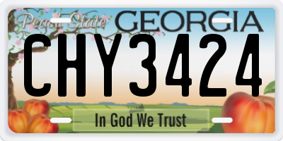 GA license plate CHY3424