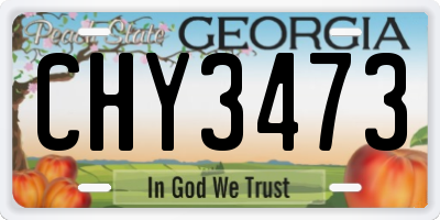 GA license plate CHY3473
