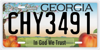 GA license plate CHY3491