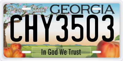 GA license plate CHY3503