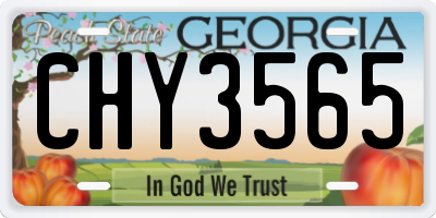 GA license plate CHY3565
