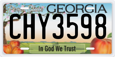GA license plate CHY3598