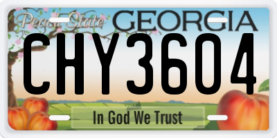 GA license plate CHY3604