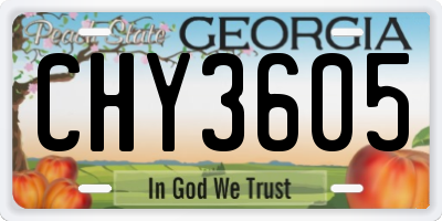 GA license plate CHY3605