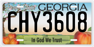 GA license plate CHY3608