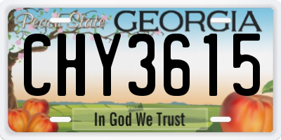 GA license plate CHY3615