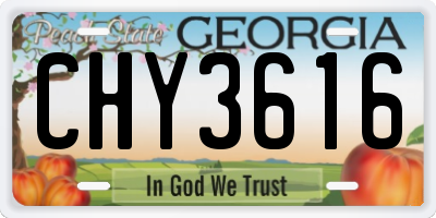 GA license plate CHY3616