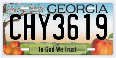 GA license plate CHY3619