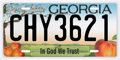 GA license plate CHY3621