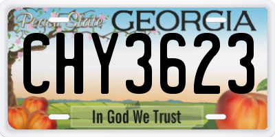 GA license plate CHY3623