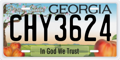 GA license plate CHY3624