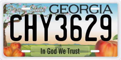 GA license plate CHY3629