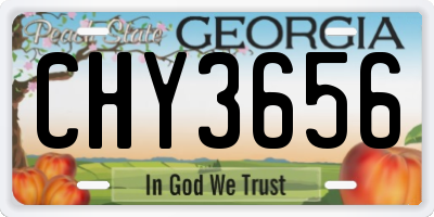 GA license plate CHY3656
